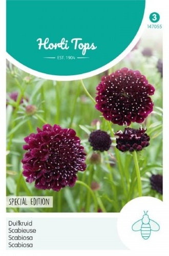 Scabiosa atropurpurea Deeppurple cca. 0,5 g